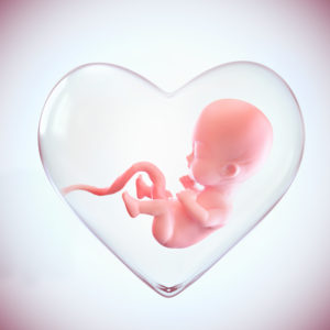 No Significant Difference in Frozen Embryo v. Fresh Embryo Viability