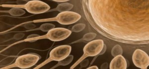 artificial insemination